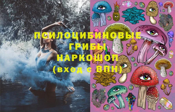 прущий лед Бородино