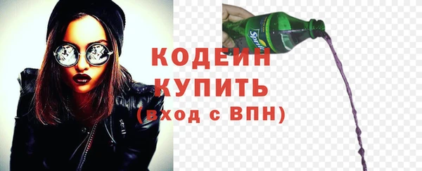 прущий лед Бородино