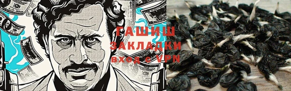 соль ск Бронницы