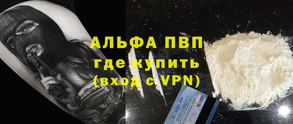 прущий лед Бородино