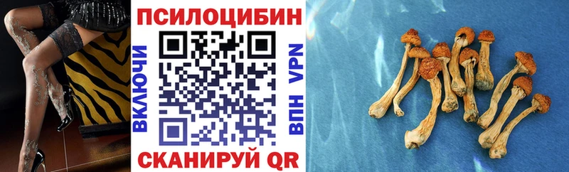 Галлюциногенные грибы Cubensis Тулун