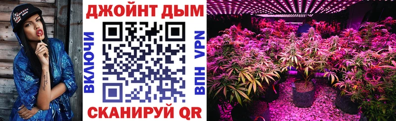 Шишки марихуана марихуана  ОМГ ОМГ как зайти  Тулун 